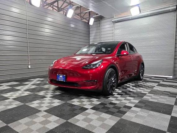 TESLA MODEL Y 2024 7SAYGDEF5RF020815 image